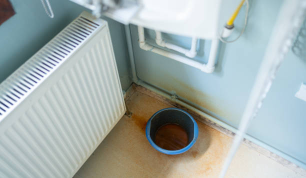 Best Flood damage cleanup  in Fairless Hills, PA