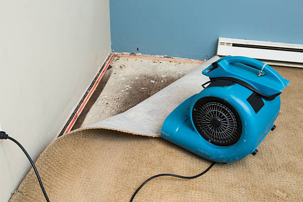 Best Basement water damage restoration  in Fairless Hills, PA